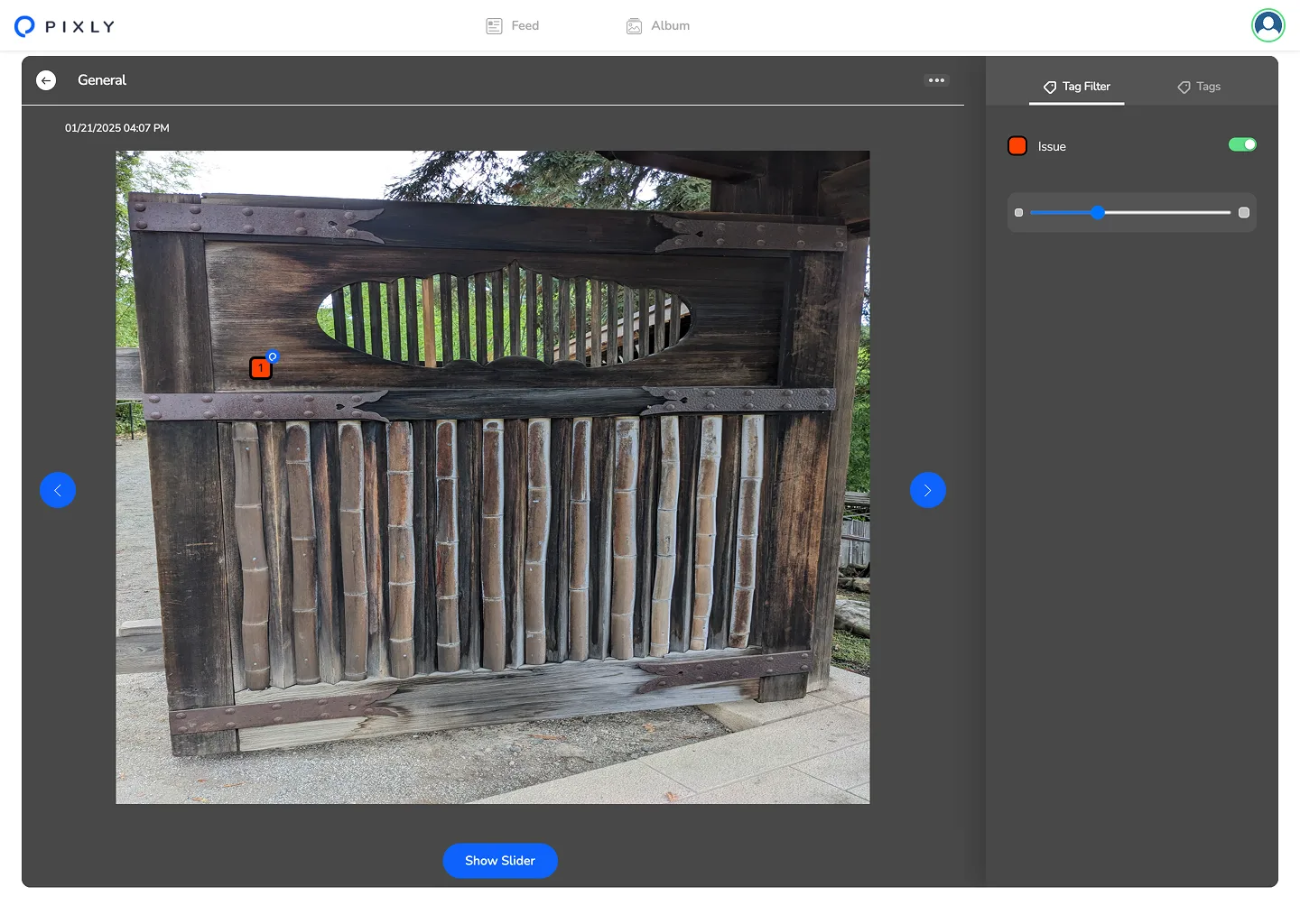 Pixly photo viewer of wooden gate; Tag Filter tab with Issue filter toggled on.